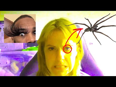 Spider Leg Lashes