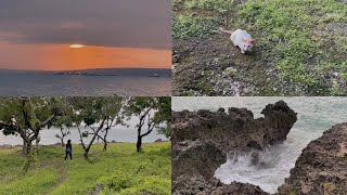 Download lagu a windy day in kupang 🌳🌊 | with dims mp3 Download lagu a windy day in kupang 🌳🌊 | with dims mp3