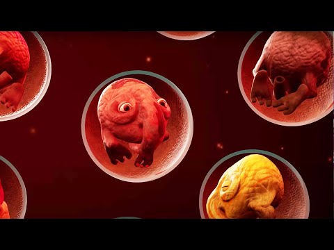 The Eternal Cylinder [PC] Full Walkthrough Gameplay [Beta]