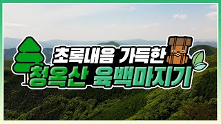 [#랜선산행  떠나기] 초록내음 가득한 #청옥산_육백마지기