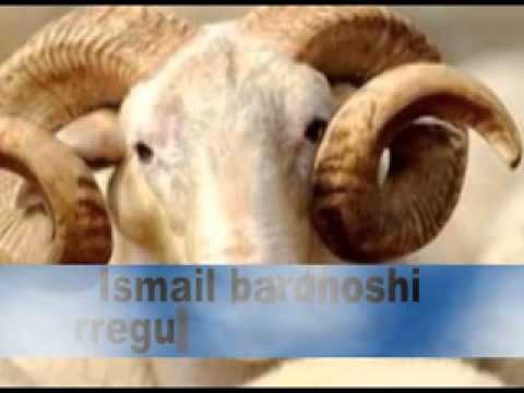 rregullat e kurbanit-Ismail Bardhoshi