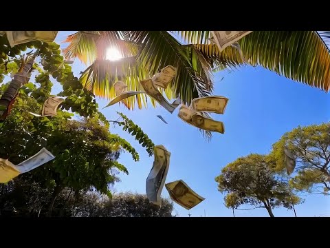 Kendrick Lamar - Money Trees (Music Video) ft. Jay Rock