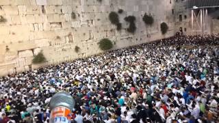 עצרת התפילה בכותל לשלום החטופים - גיל-עד שאער, נפתלי פרנקל ואייל יפרח.
