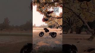 Download lagu Vn qr Code Reels |Vn Code|vn Template Code |vnvideo editor |Trending VnCode#vncode #vneditor mp3