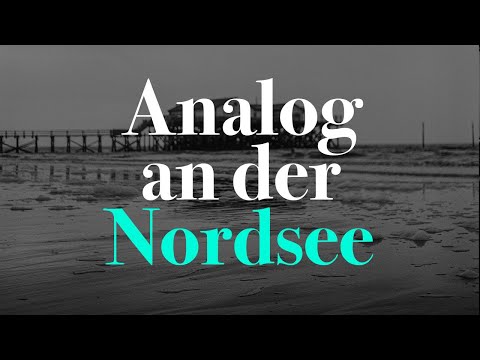 Fotografieren mit einer 50 Jahre alten Kamera | Yashica Mat 124G