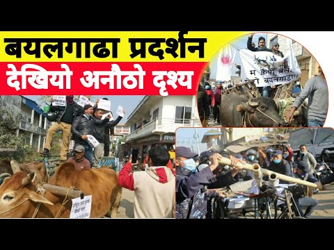 प्रधानमन्त्रीको बिरोधमा बयलगाढा प्रदर्शन