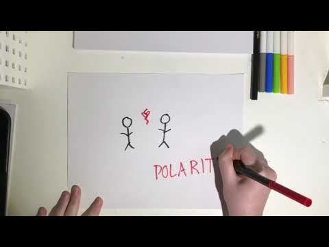 what is POLARITY?