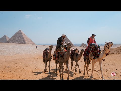 The Egyptian Event Cairo 2021 - Highlights