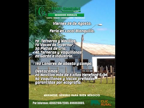 29/8/2025 Blanquillo - Durazno - Feria Mensual - Fredy González y Cía Ltda - Diego Prego