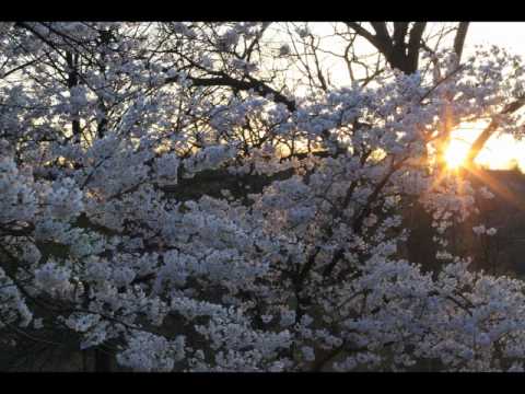Spring in Toronto - Maciek, Hania ,Tomek and Jakub