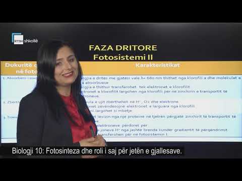 Biologji 10 - Fotosinteza dhe roli i saj për jetën e gjallesave