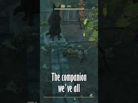 Fallout 76 Tips and Tricks Dogmeat