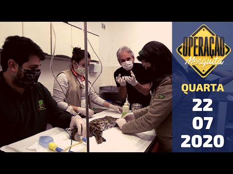 Operação Mesquita 22/07/2020 - A vida no Zoo de São Paulo na Pandemia