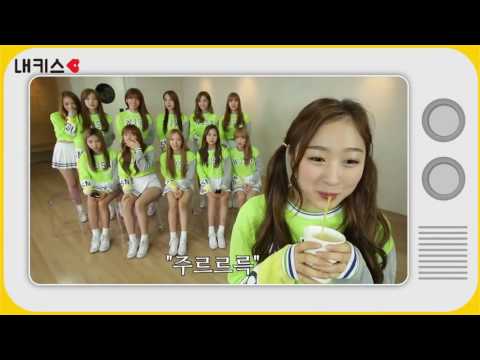 WJSN/Cosmic Girls Funny Moments Part 1