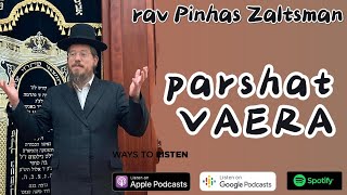 ✡️ פרשת וארא || חשיבה מחוץ לקופסה || דיאלוג מרתק עם הרב פנחס זלצמן #Zaltsman
