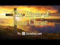 Matthew 1:18 - 1:26: The Birth of Jesus Christ | Bible Stories