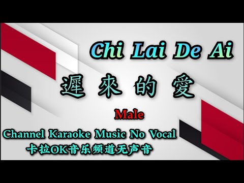 Chi Lai De Ai 遲來的愛 ~ male ~ karaoke mandarin no vocal