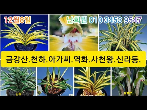 유튜브 썸네일