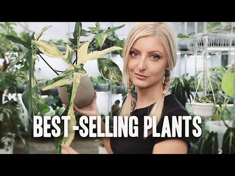 My 2022 BEST-SELLING Rare and Uncommon Houseplants!