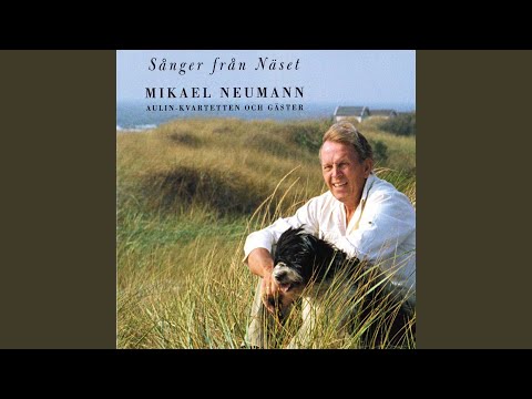 Minnenas Fågelstreck