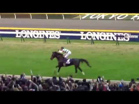 ジャパンカップ JAPAN  CUP エピファネイア Epiphaneia winning run