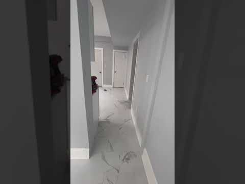 368 Norton St #2 - Video 1 of 1