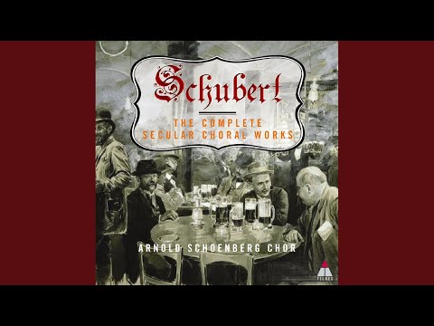 Video thumbnail for Widerspruch, D. 865