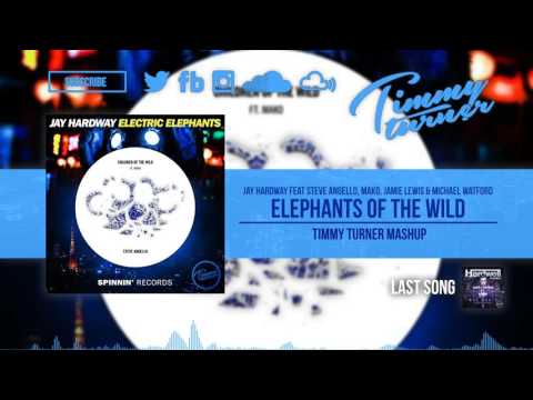Jay Hardway feat. Steve Angello & Mako - Elephants Of The Wild (Timmy Turner Mashup)