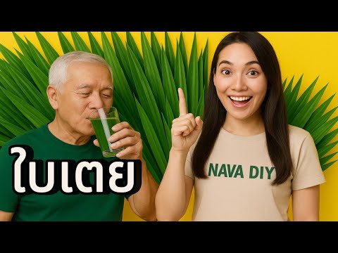 เฉลย สรรพคุณใบเตย ! ลดเบาหวาน บำรุงหัวใจ จริงหรือ? | Nava DIY