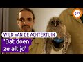 WILD VAN DE ACHTERTUIN #7: Ransuilen zorgen voor drama