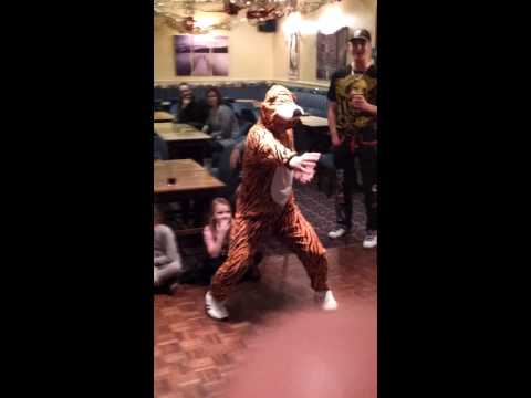Kung fu-tiger form