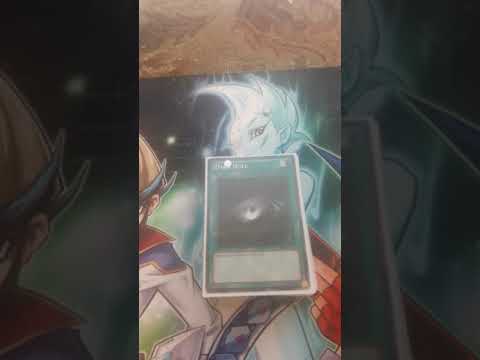 Paleozoic spellbook frogs November backlist