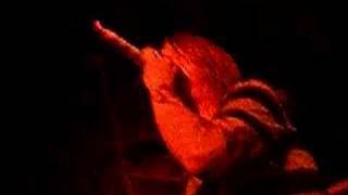 The Almost - I Mostly Copy Other People