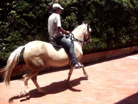 BARBY DE VILLA NELLY