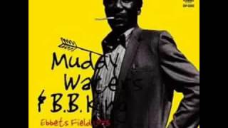 Muddy Waters & B.B.King - Ebbets Field (1973)