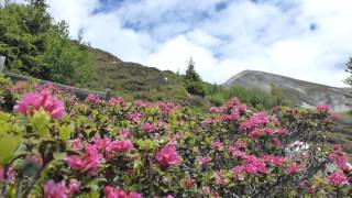 preview picture of video 'Wandern in Südtirol 2013 --  Von Meran 2000 nach Vöran'