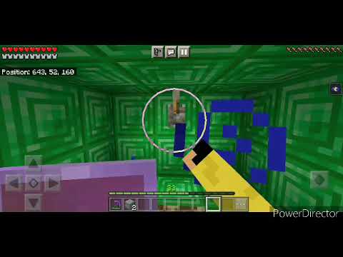 Is this the best dog vault?