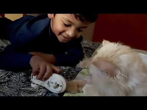 Hadi is playing#youtubeshorts