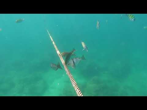 Thailand - Islands Tour - Krabi - IV