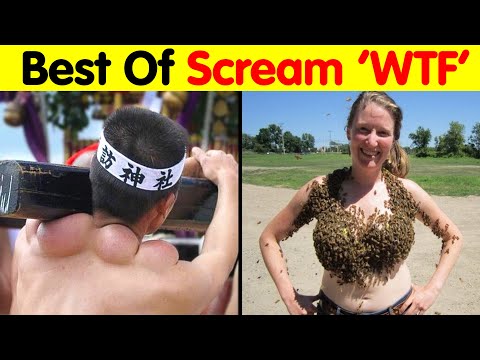 The Best Of Things That Will Make You Scream "WTF!"