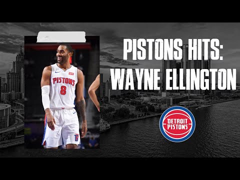 Wayne Ellington: Top 3-Point Shots