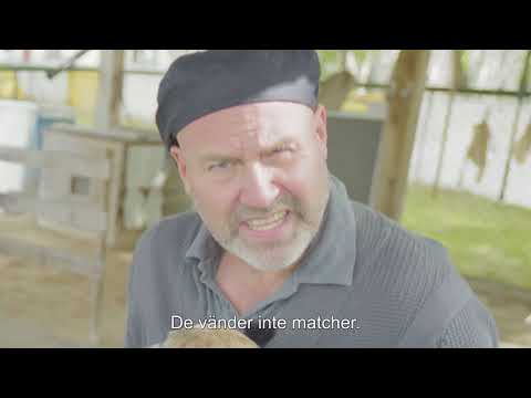 Niklas Holmgren kommenterar stryktipset v.34