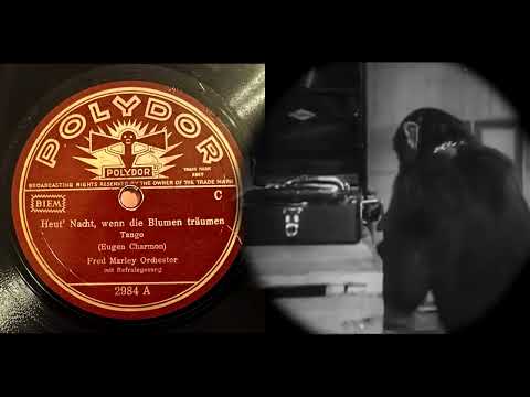 (1939) Heut' Nacht, wenn die Blumen träumen - Oskar Joost Orchester