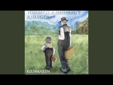 Intro. V/ Hallvard T. Bjørgum (Eldre) , Skjoldmøyann