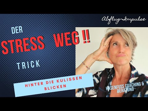 Dir wird alles zu viel? Chaos im Außen? Dann nutze diese Technik