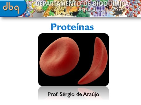 Curso de Bioquimica: Proteinas