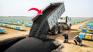 Something Started Massively Kills Honeybees In California - U.S Paid The Price For Its Insane Plans!