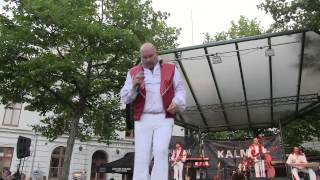 preview picture of video 'Lars Kristerz - Carina live Kalmar juli 2014'