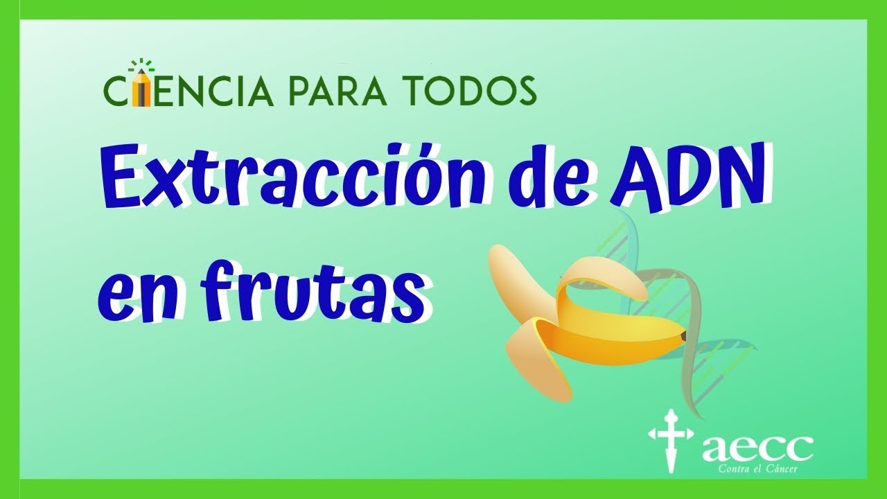 ✅ CIENCIA PARA TODOS 🔬🧪 Extracción de ADN en frutas