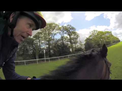 QIPCO Champion Stakes Course Ride